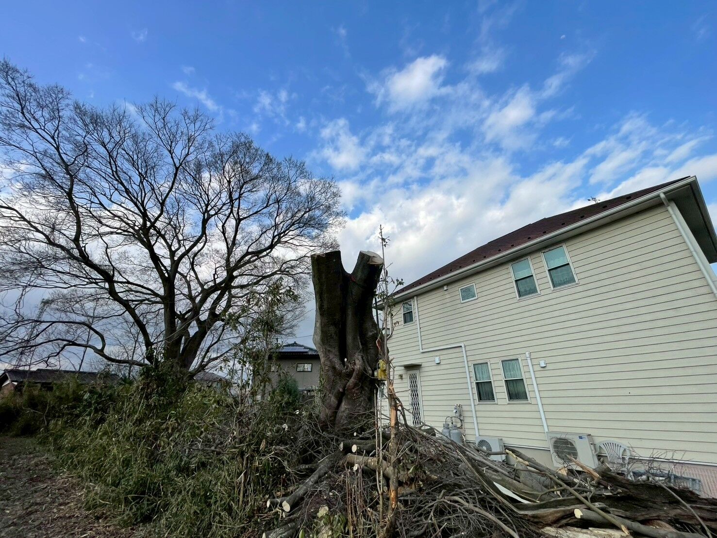 LINE_ALBUM_柏瀬様　伐採写真_260506_9