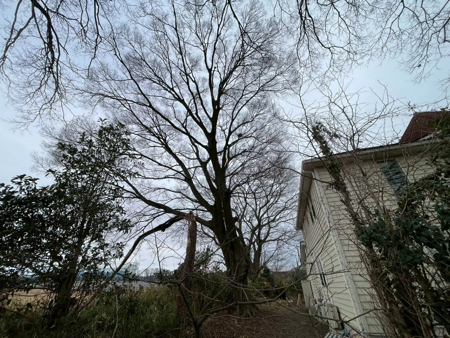 LINE_ALBUM_柏瀬様　現調写真_260210_17