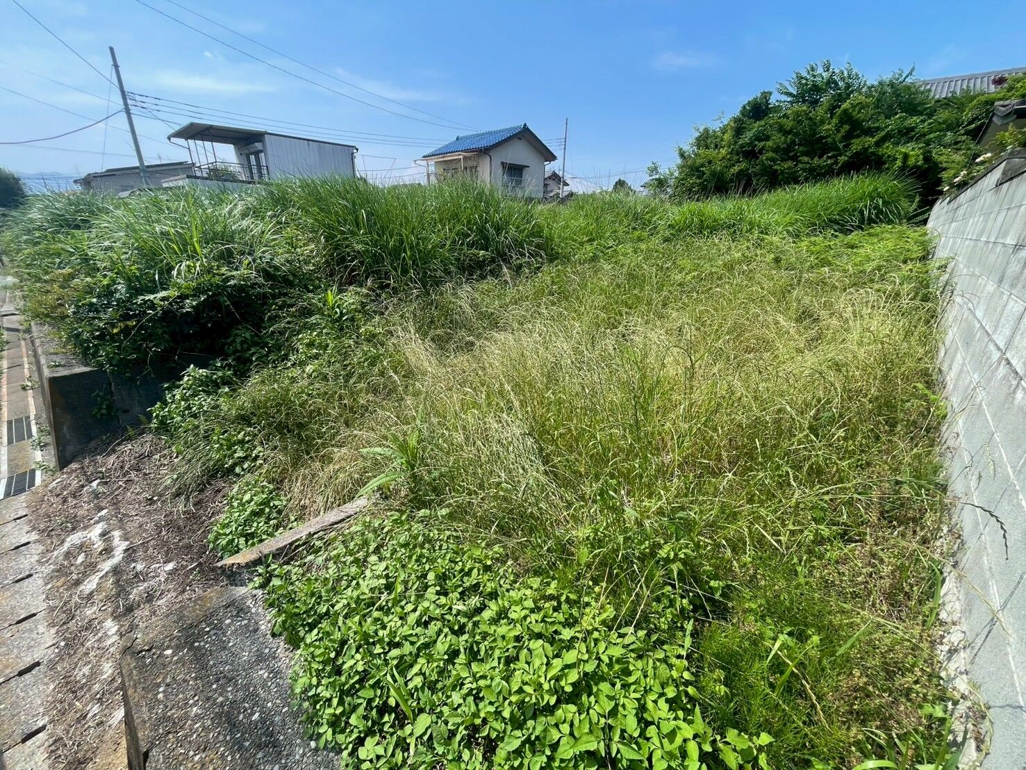 売地の除草作業を行いました！