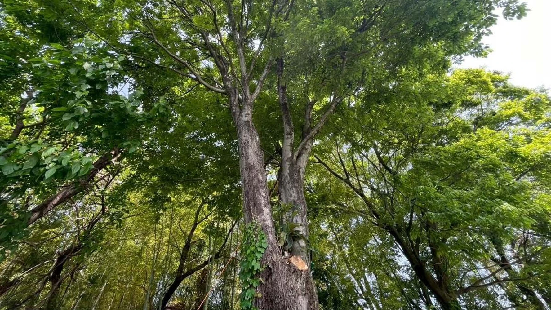 画像5354