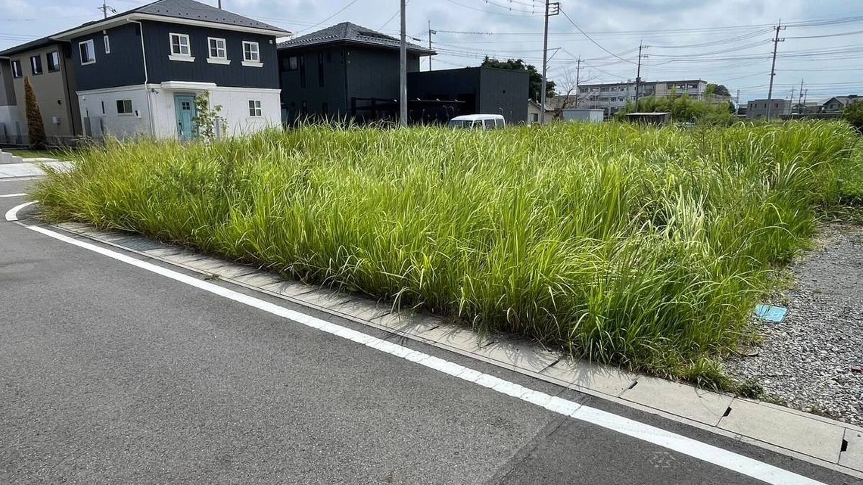画像5358