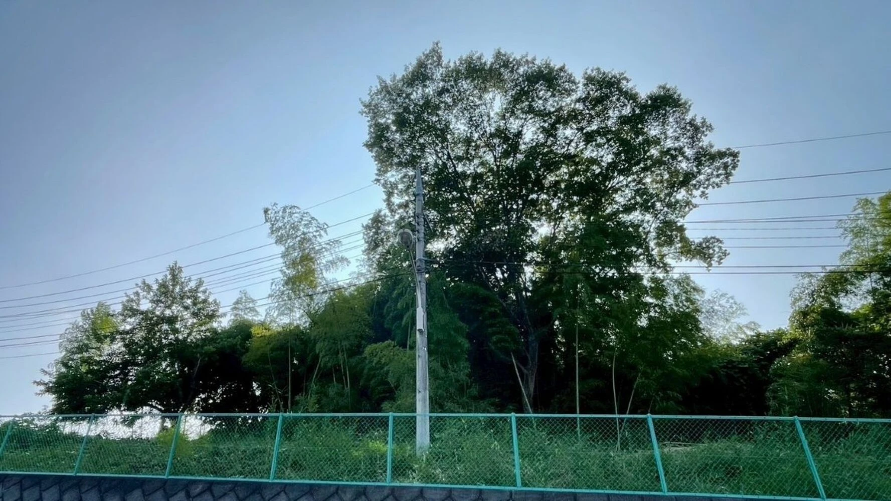 画像5359