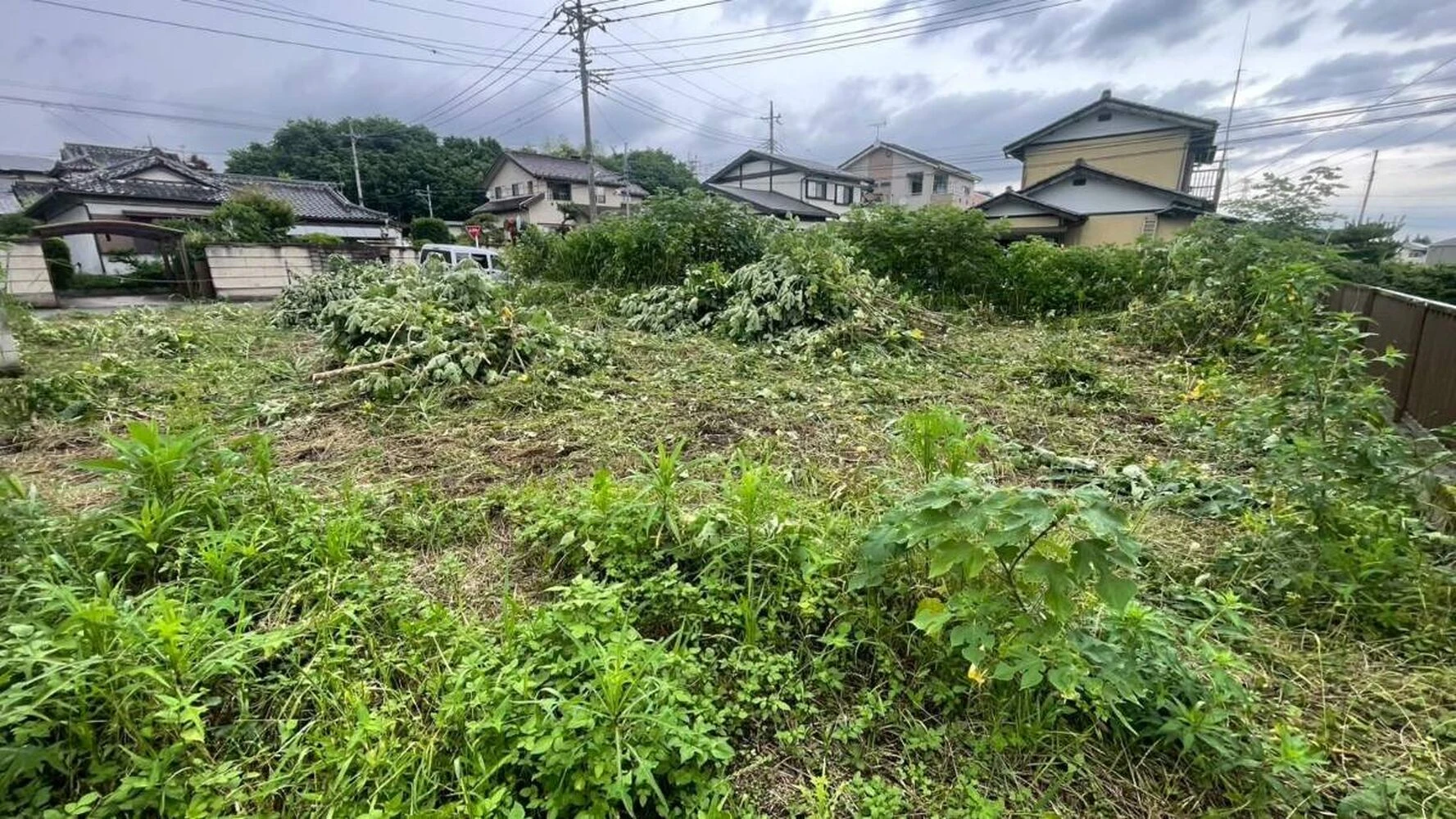 画像5734