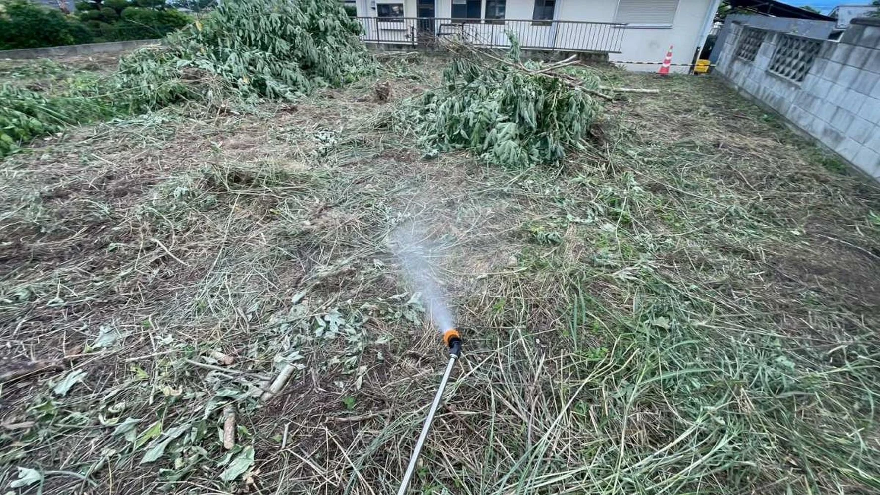画像5756