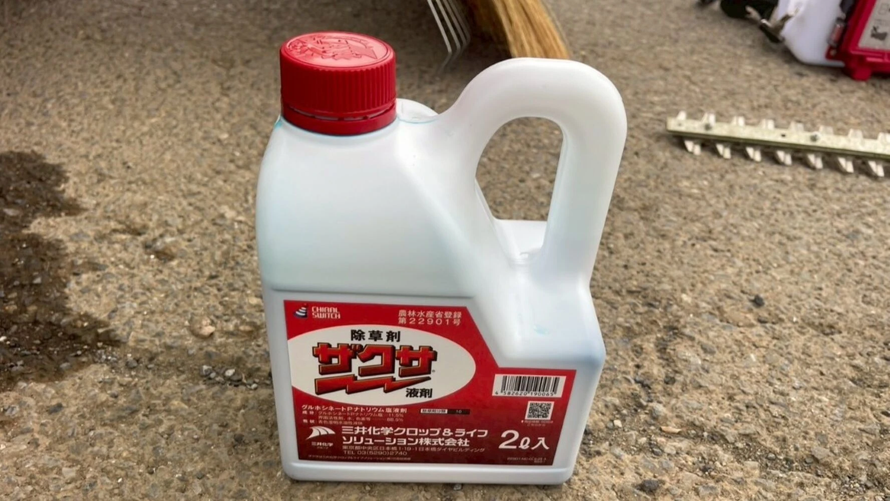 画像5760