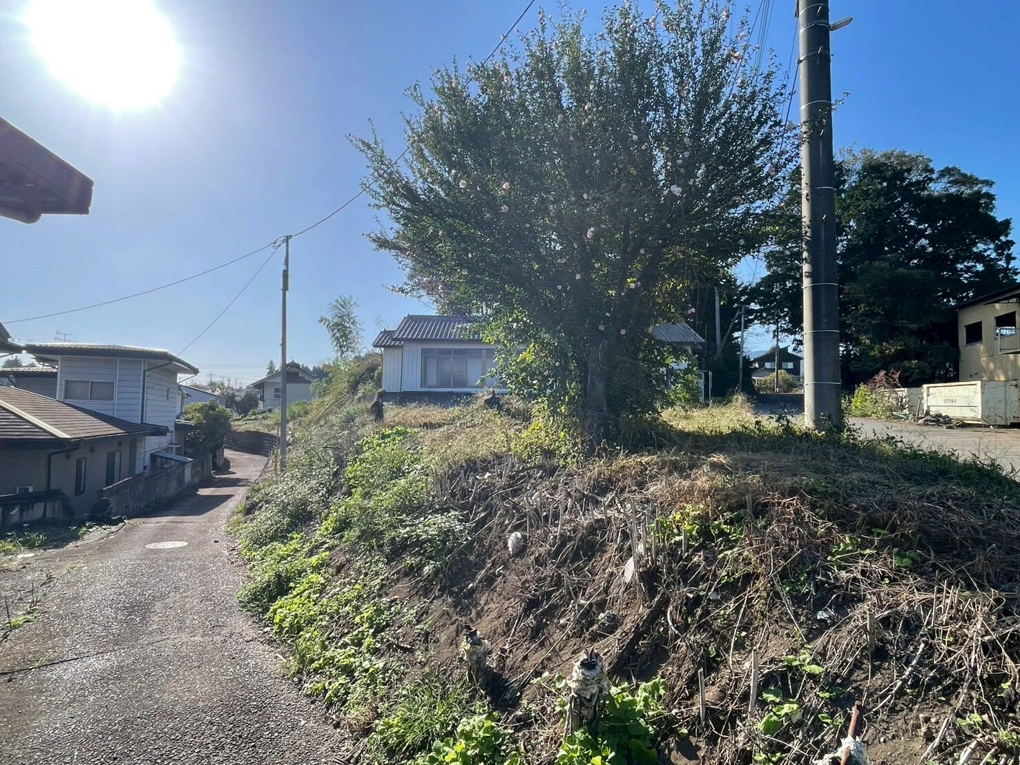 吉岡町で伐採・伐根など現地調査を実施！